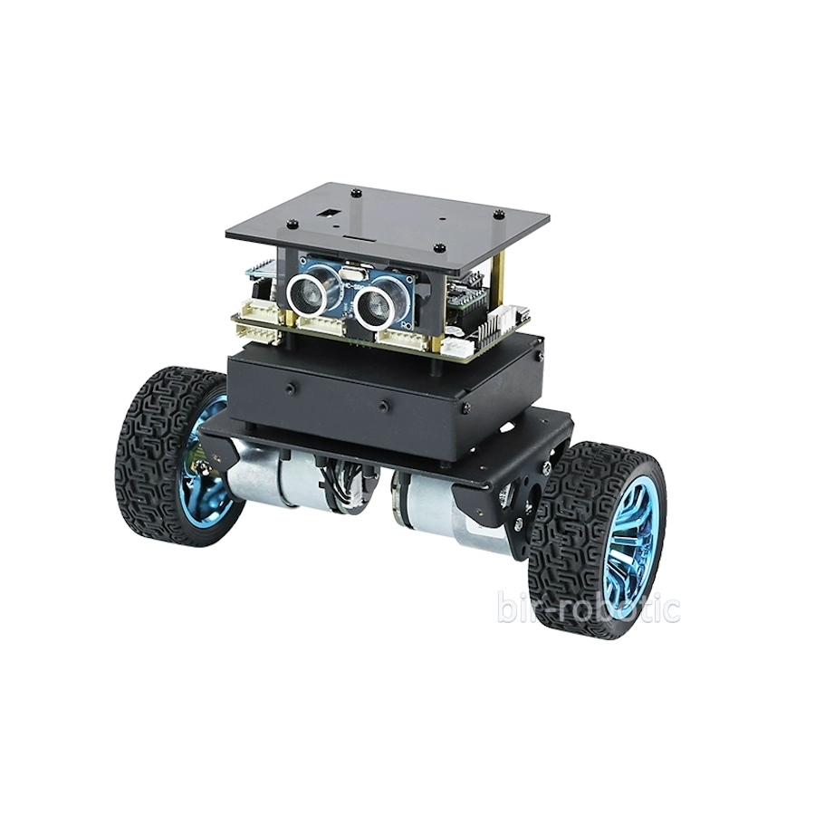 ربات تعادلی STM32 با شاسی فلزی و کنترلر